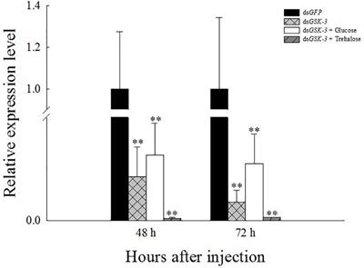 Regulatory Functions of Nilaparvata lugens GSK-3 in Energy and Chitin Metabolism